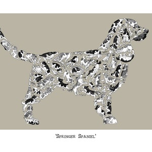 Springer Spaniel Print, Dog Lover Print, Signed