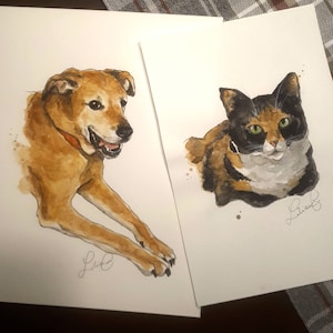 Pet Portrait