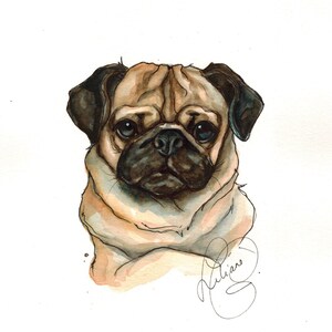 Pixie the Pug (print)