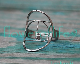 May include: A silver ring with a geometric design inspired by the Fibonacci sequence. The ring is made of metal and has a polished finish.