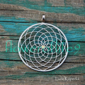 May include: A silver pendant with a geometric design resembling a flower of life. The pendant is circular and has a small gold dot in the center.