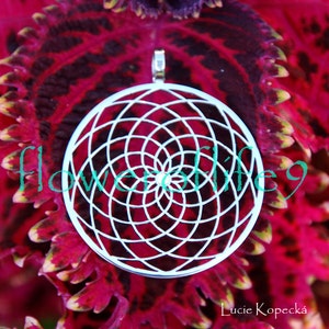May include: A silver pendant with a geometric design resembling a mandala. The pendant is circular and features a delicate, intricate pattern of overlapping circles and lines. The pendant is set against a backdrop of a vibrant red and green leaf.