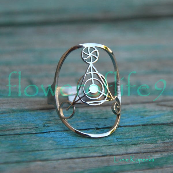 Anillo de elementos - Acero inoxidable