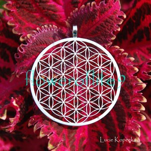 May include: A silver pendant featuring a detailed geometric design known as the Flower of Life. The pendant is set against a backdrop of vibrant red and green foliage.