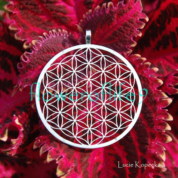 Flower of life with 6 neodymium magnets pendant (1 3/4) Stainless Steel