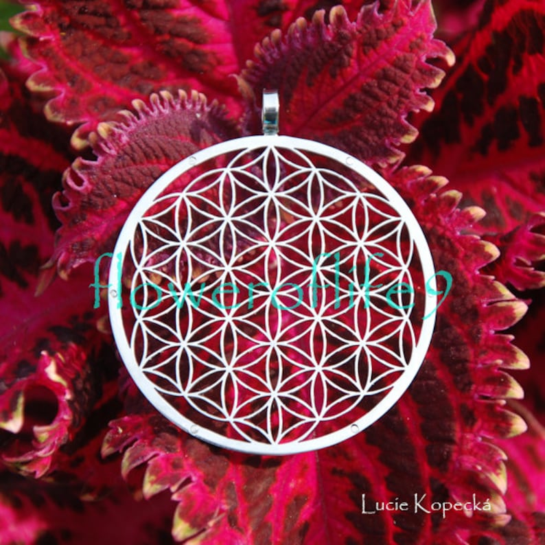 May include: A silver pendant featuring a detailed geometric design known as the Flower of Life. The pendant is set against a backdrop of vibrant red and green foliage.