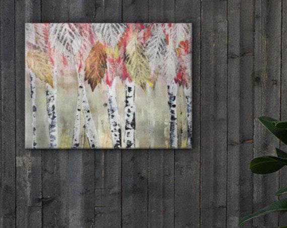 Birch Tree Canvas Repductions - Multiple sizes.