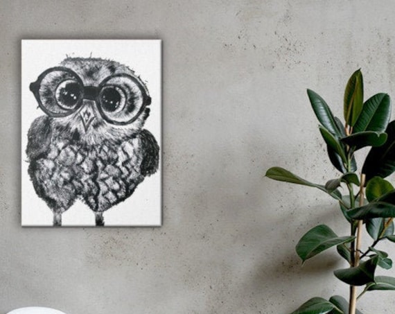 Baby Owl in Glasses - Canvas Reproduction