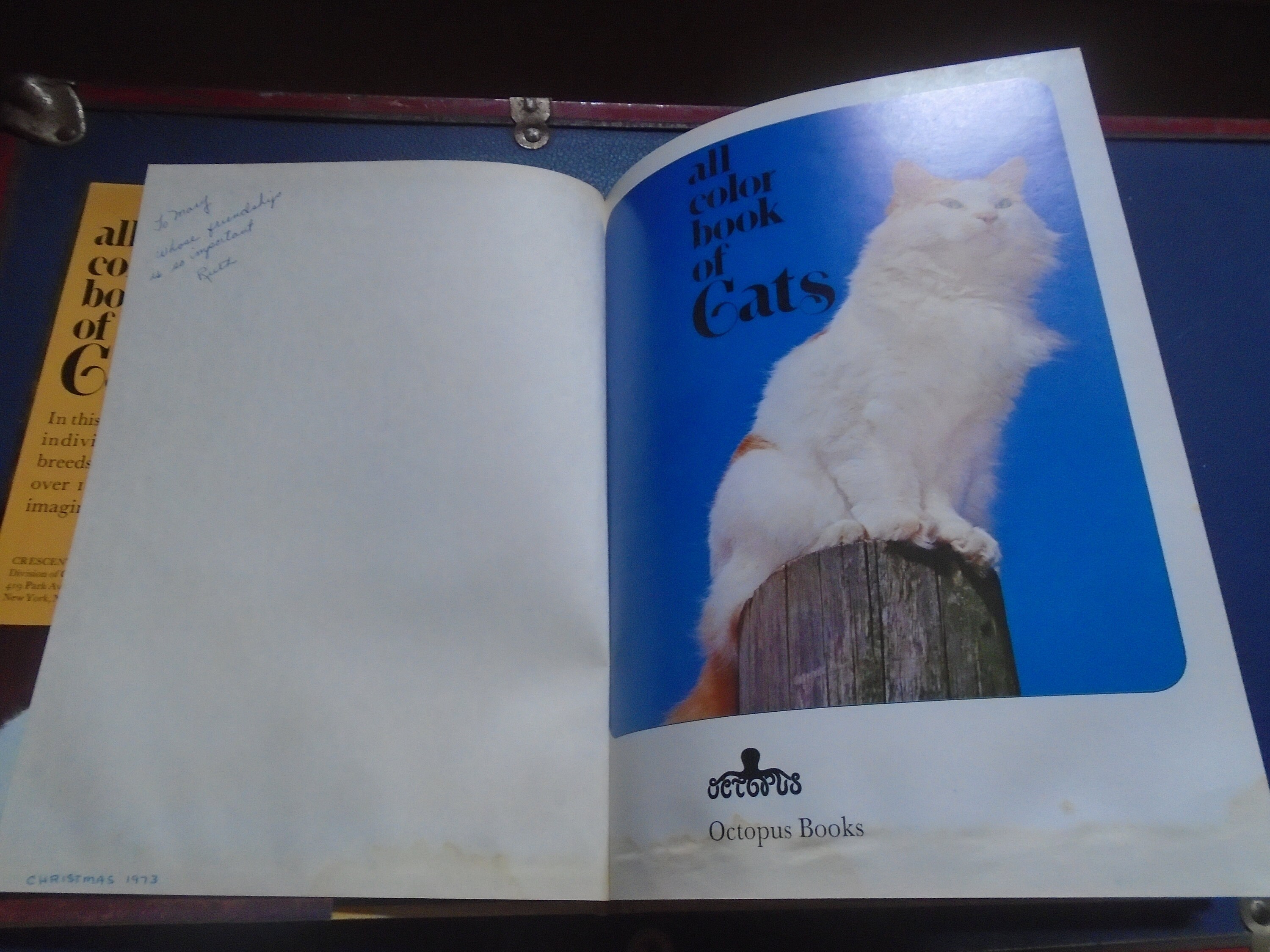 CATS 猫 古本 洋書 2026年最新】猫洋書の人気アイテム - メルカリ