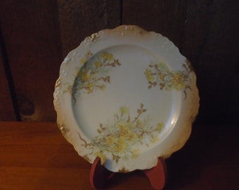 Antique Limoges France Hand Painted Floral Decorative Plate R Delinieres and Cie D and C