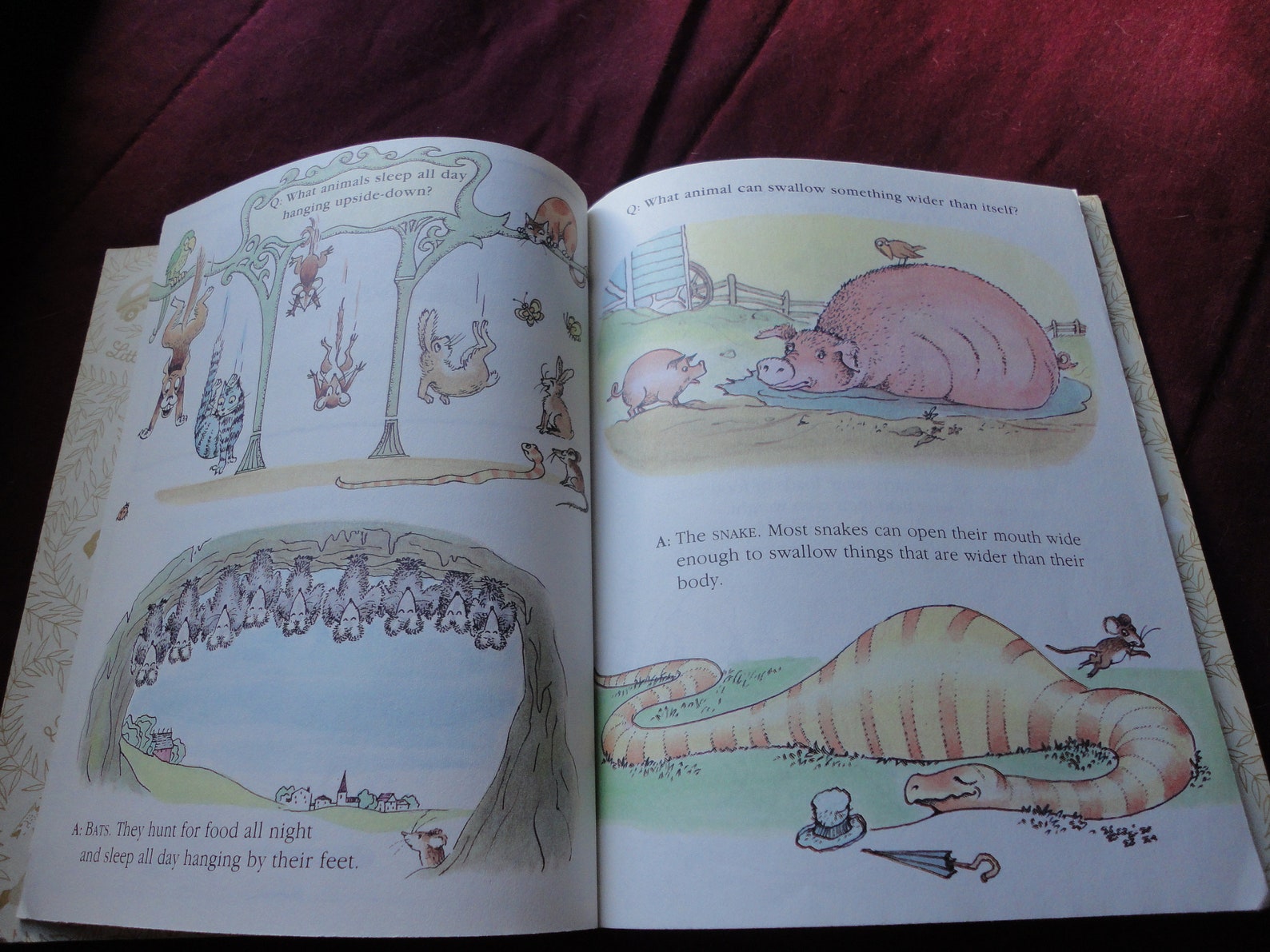 Animal Quiz Book Little Golden Book by Edith T. Kunhardt Etsy