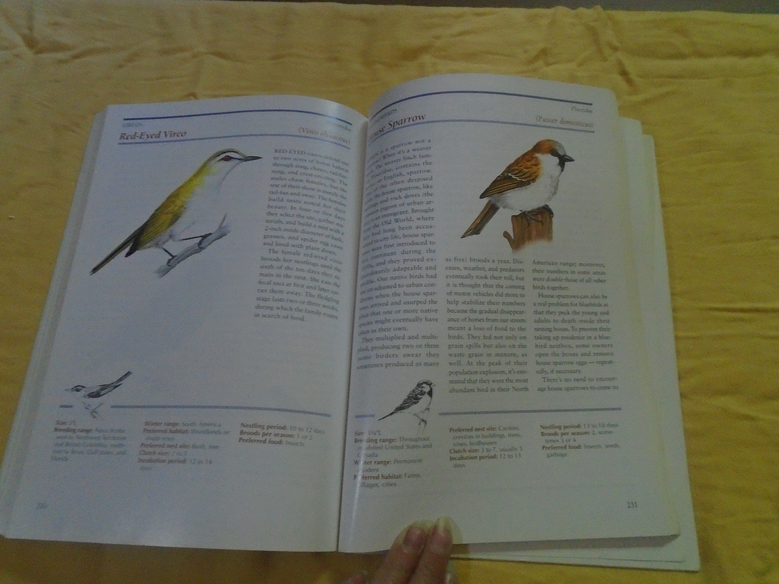 The Backyard Birdlover's Guide Softcover Book Attracting Etsy