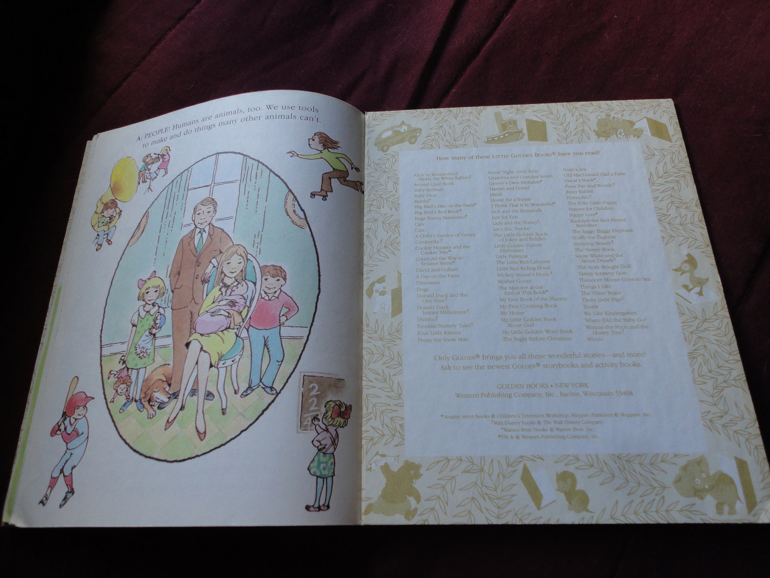 Animal Quiz Book Little Golden Book by Edith T. Kunhardt Etsy