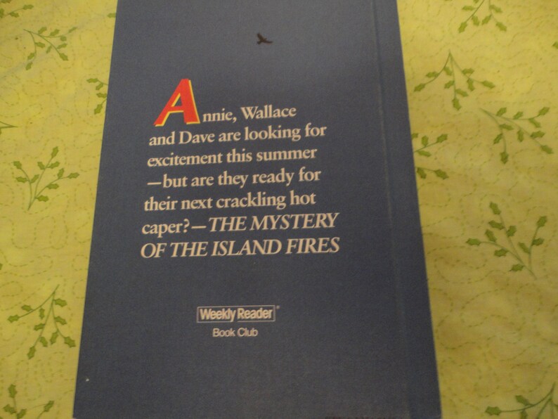 Mystery of the Island Fires Hardcover Book by Elaine Macmann - Etsy