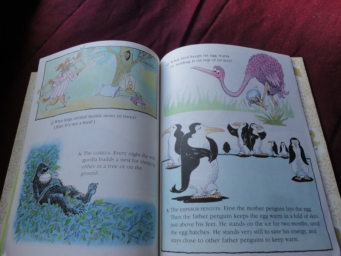Animal Quiz Book Little Golden Book by Edith T. Kunhardt Etsy