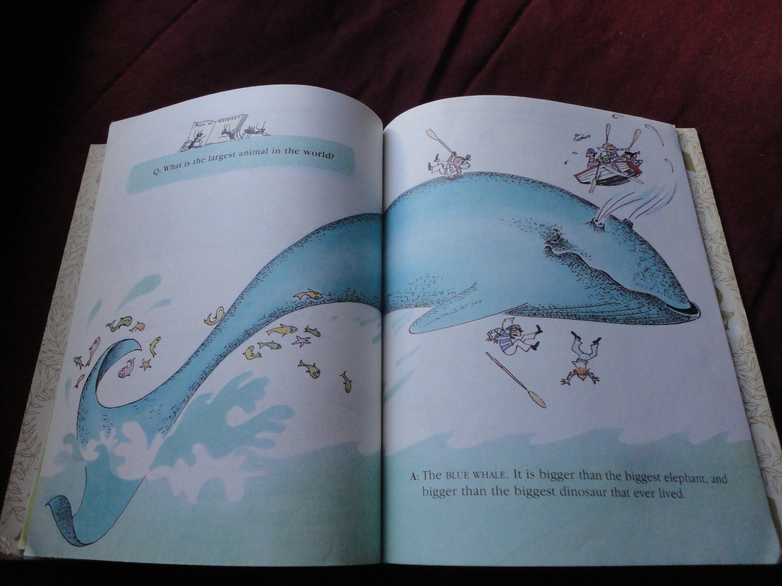 Animal Quiz Book Little Golden Book by Edith T. Kunhardt Etsy