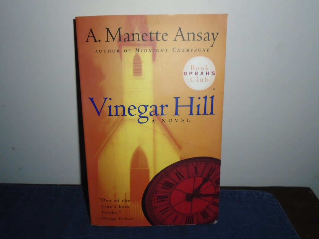 Vinegar Hill A Novel by A. Ansay Etsy