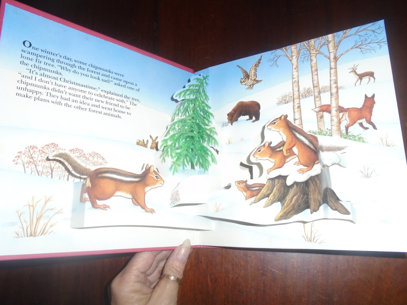 The First Christmas Tree Pop up Book Treasury Collection Etsy