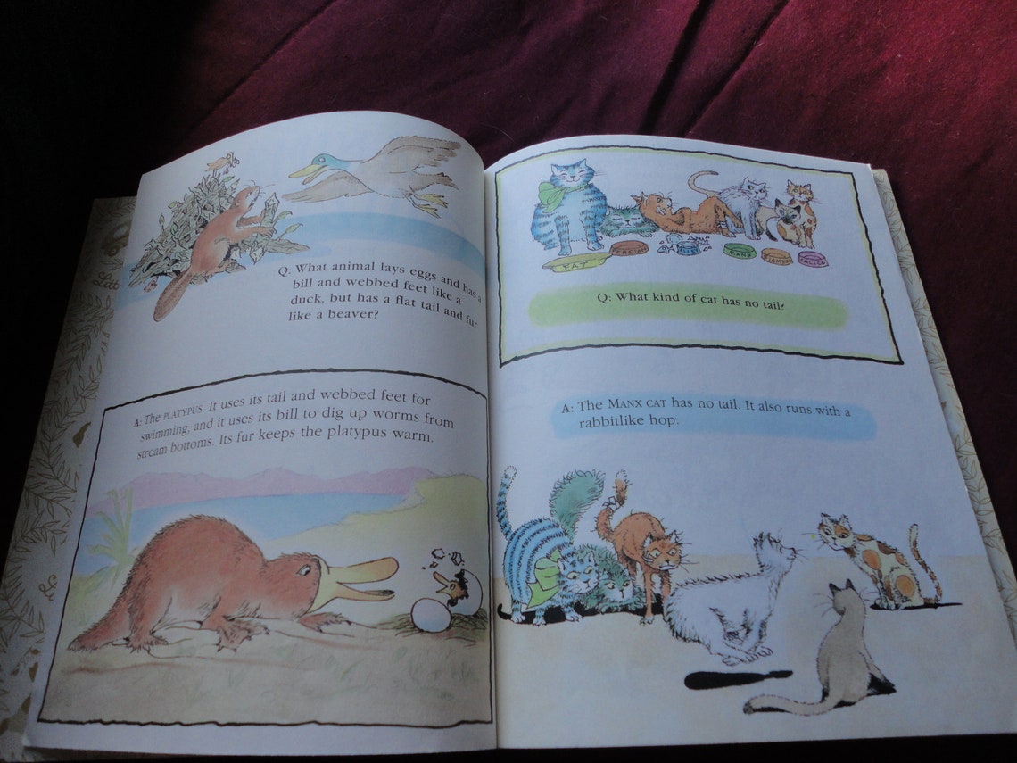 Animal Quiz Book Little Golden Book by Edith T. Kunhardt Etsy