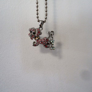 Pu&ograve; includere: Una collana a catena d'argento con un ciondolo a forma di barboncino con strass rosa e un ciondolo a forma di osso.