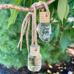 May include: Two clear glass skull-shaped car air fresheners hanging from a tree branch. The air fresheners have wooden caps and are suspended by a beige and gold rope. The background is blurred green foliage.