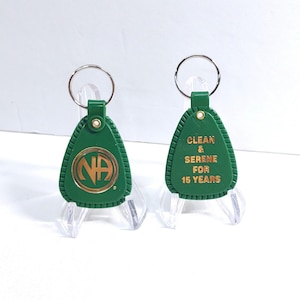 NA 15 Years Clean Plastic Keytag Chip - Keychain Key Tag Narcotics Anonymous 12 Step Recovery - Green 15 Yr