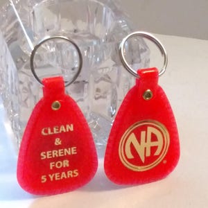 NA 5 Years Clean Plastic Keytag Chip - Keychain Key Tag Narcotics Anonymous 12 Step Recovery - Orange 5 Yr