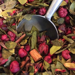 May include: A close-up of a metal scoop filled with potpourri. The potpourri is a mix of dried leaves, berries, and cinnamon sticks. The colors are mostly green, brown, and red.