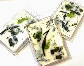 7oz Wax Melt | TEAKWOOD MOSS&FERN |  like a Rain Forest this scent is Mossy and effervescent with hints of Gardenia and Midnight Jasmine.