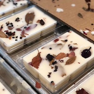 Puede incluir: Primer plano de una bandeja de fundidos de cera blanca con hojas secas y especias. Los fundidos de cera están en recipientes cuadrados individuales.