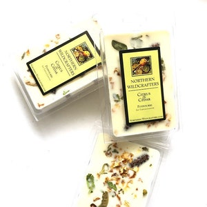 7oz Soy Melt | CITRUS & CEDAR | Balsam Fir, Citrus, Cedar and Cinnamon Sticks Makes it a festive addition in any season
