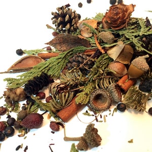 Nordwald-Potpourri-eine Mischung aus Tannen, Zedern und Kiefern des nördlichen Waldes vonMichigan Bild 3