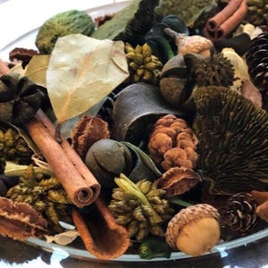 WOODLAND SPICE | Potpourri | Woods with spices | A Fir needle resin with warm honey and lots of Chai spices,