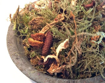 Moss & Mushroom Potpourri - an earthy mossy cedar wood scented potpourri