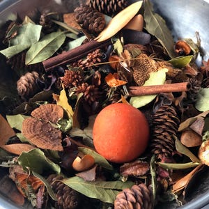 Spellbound | Spiced Vanilla Oranges | Potpourri | Cinnamon, Citrus and Bakery fragrances create a warm cozy background fragrance.