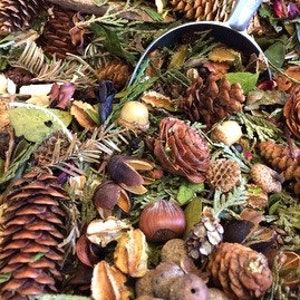 Northern Woods Potpourri-A blend of Northern Michigan's forest's Firs, Cedars and Pines image 2