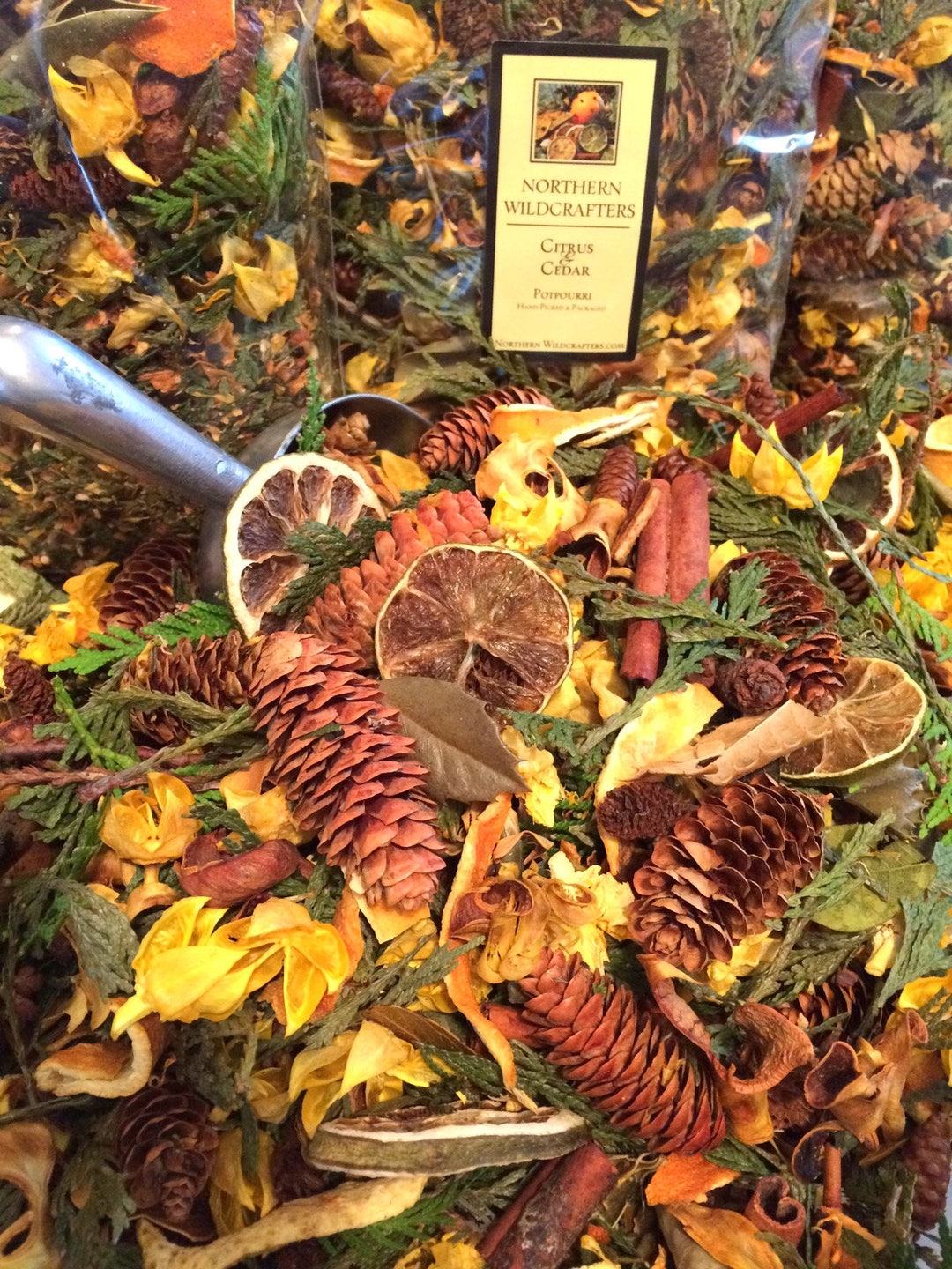 Citrus & Cedar Potpourri A Blend of Fresh Dried Firs, Pines, Lemons and