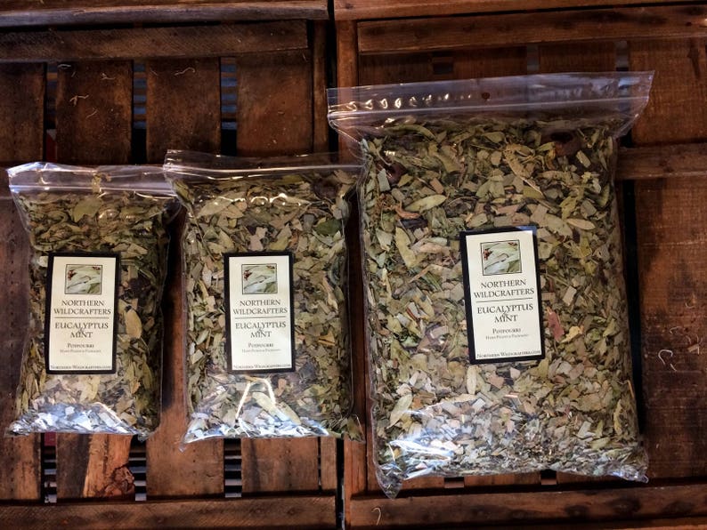 Eucalyptus & Mint potpourri Essential Oils fresh dried Etsy