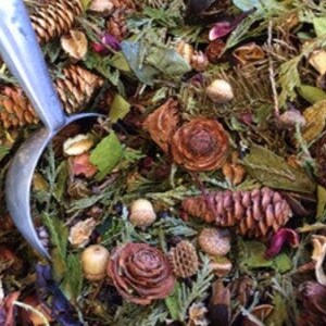 Nordwald-Potpourri-eine Mischung aus Tannen, Zedern und Kiefern des nördlichen Waldes vonMichigan Bild 7