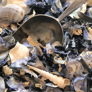 Potpourri | BEACH TIDE | A Tide scented and Sun Dried Fresh Fragrance!