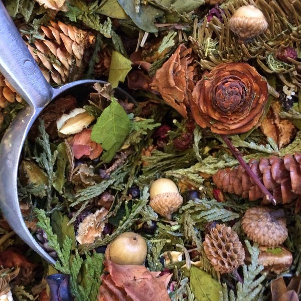 Northern Woods Potpourri-A blend of Northern Michigan's forest's Firs, Cedars and Pines