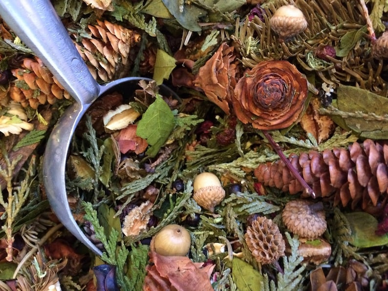 Northern Woods Potpourri-A blend of Northern Michigan's forest's Firs, Cedars and Pines