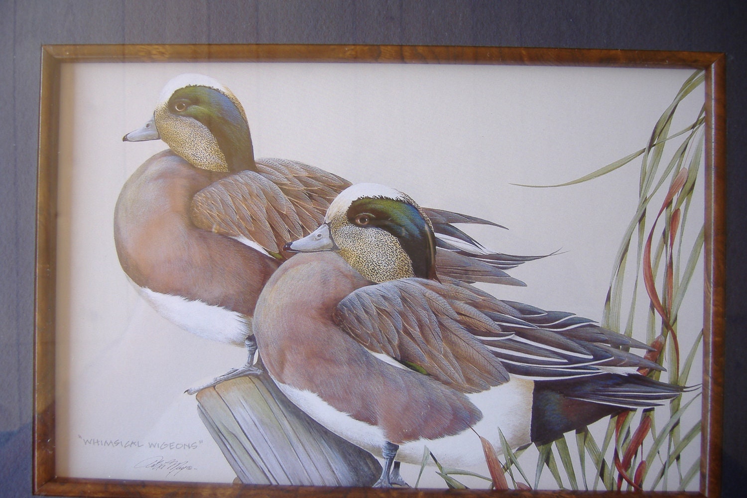 Duck Print by Art LaMay Etsy