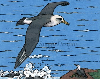 Laysan Albatross 8 x 10 Giclee Print of Original Pencil & Ink Illustration