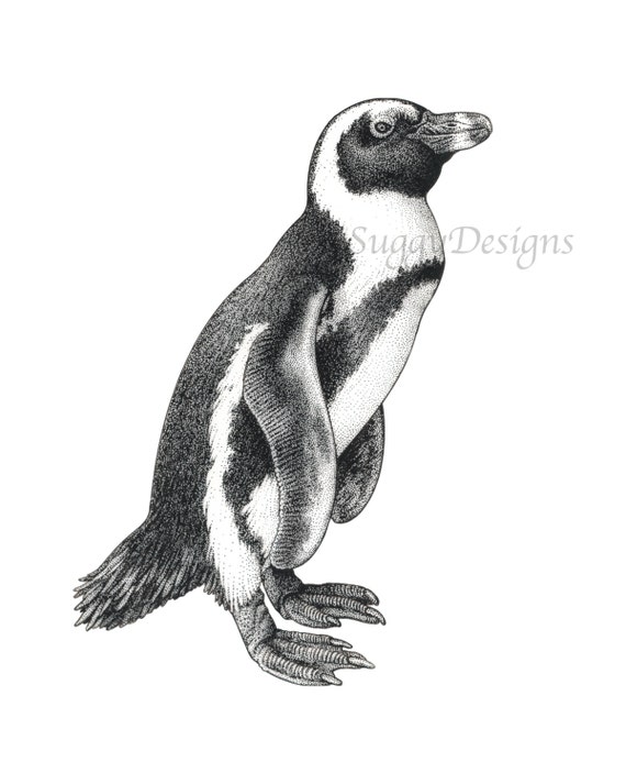 画材 Penguin Bib S922d4b5d058b41908e37d63a812ec