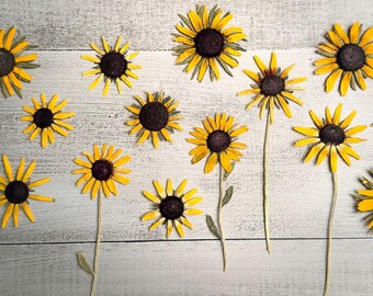 Pressed Black Eyed Susans, 15 assorted pieces , Pressed Dried flowers,Pressed flowers for crafts, resin art, embellishments, decor