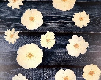 Pressed Roses, 15 Assorted Roses, Pressed Dried Flowers,pressed Flowers ...