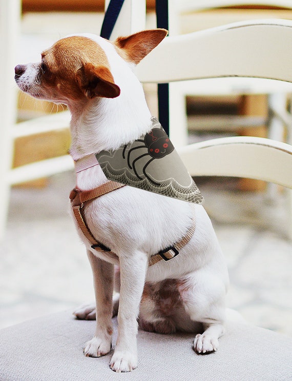 ball python egg incubator for sale