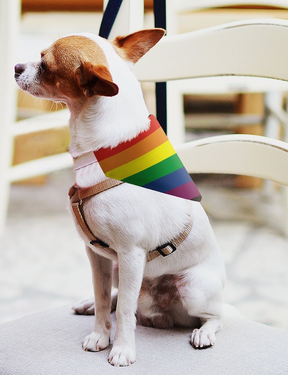 Gay Pride Dog Bandana LGBT Dog Bandana LGBTQ Dogs Rainbow Pride Pet Bandana Progress Pride Gift Lesbian Dog Lover Gift Puppy Bandana