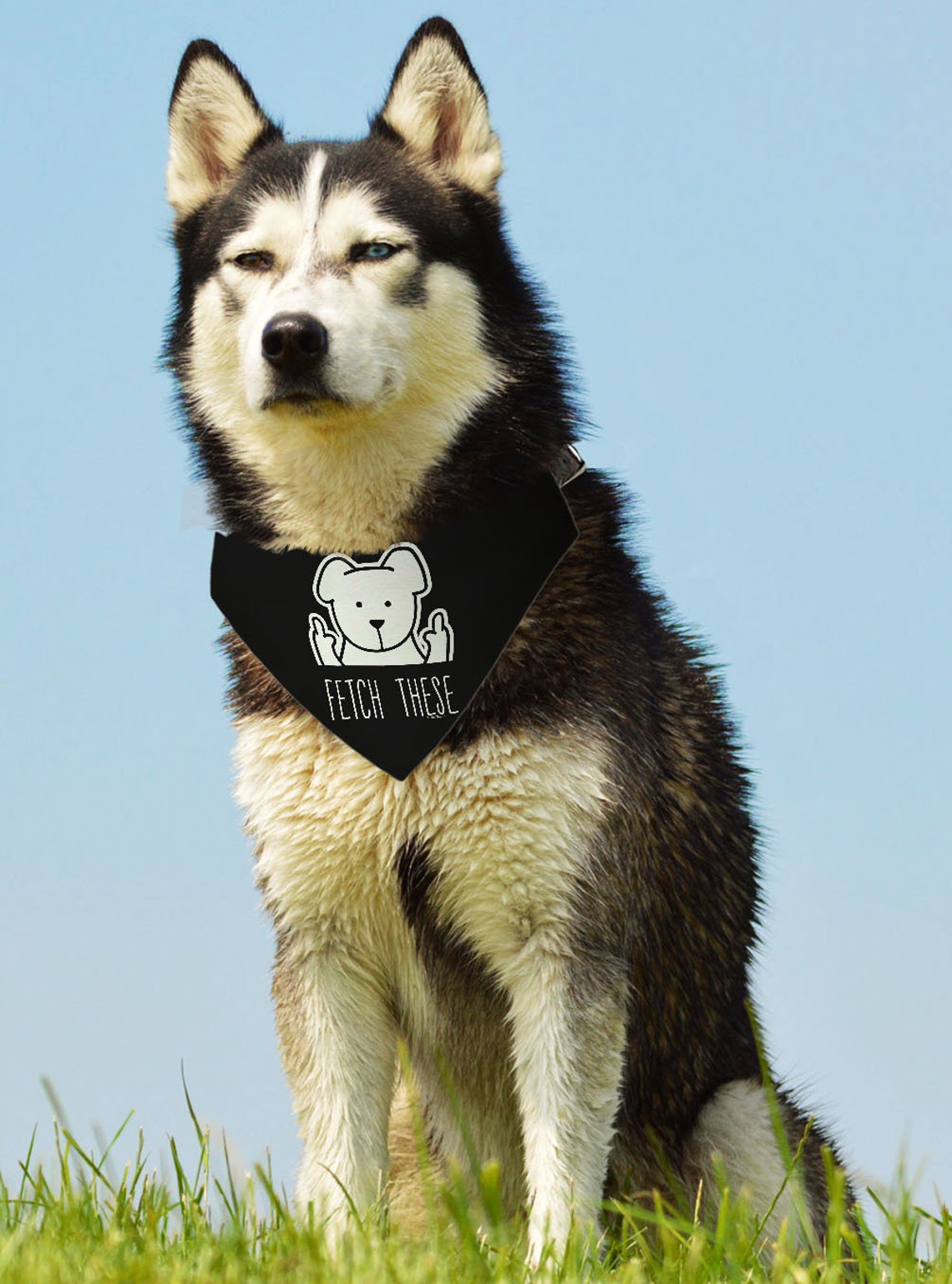 Funny Dog Accessories Fetch These Middle Finger Dog Bandana Etsy